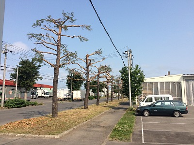 長く大切に使える木の生活道具
