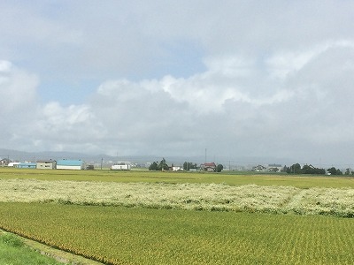 秋のギフトショーに出展します。