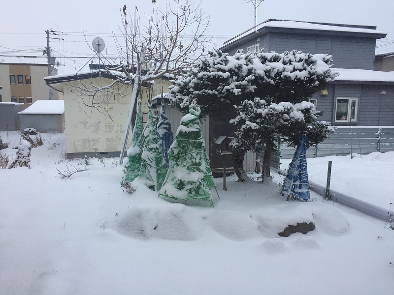 星幸一の「つながる、仕合せ」