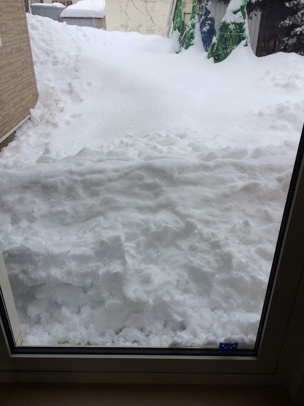 星幸一の「つながる、仕合せ」