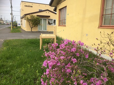 コサイン星幸一の「つながる、仕合せ」