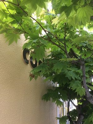 コサイン 星幸一の「つながる、仕合せ」