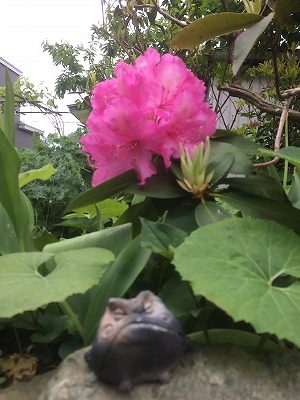 コサイン 星幸一の「つながる、仕合せ」