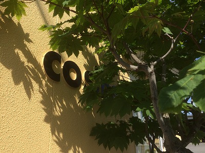 コサイン ほしこういちの「つながる、仕合せ」