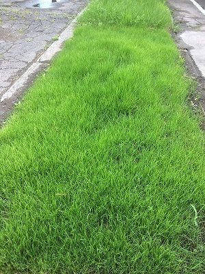 コサイン 星幸一の「つながる、仕合せ」