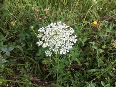 コサイン 星幸一の「つながる、仕合せ」