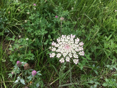 コサイン 星幸一の「つながる、仕合せ」