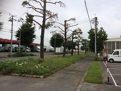 コサイン 星幸一の「つながる、仕合せ」