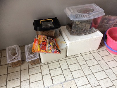 コサイン 星幸一の「つながる、仕合せ」