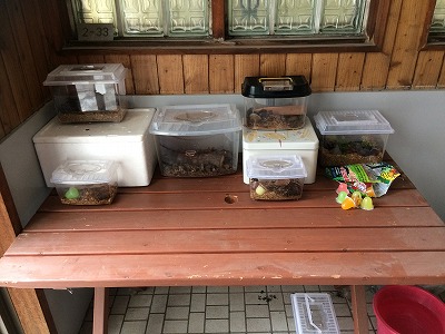 コサイン 星幸一の「つながる、仕合せ」