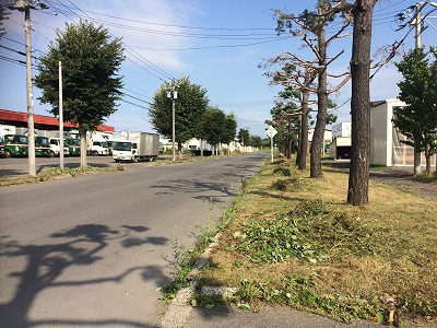 コサイン 星幸一の「つながる、仕合せ」