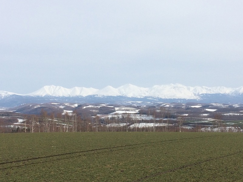 コサイン 星幸一「つながる、仕合せ」