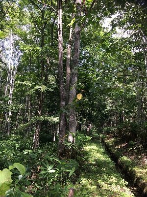 コサイン 星幸一の「つながる、仕合せ」
