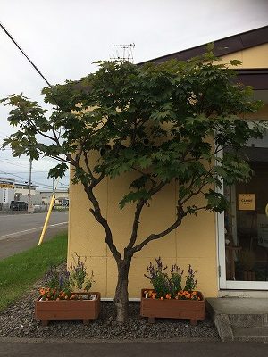 コサイン 星幸一の「つながる、仕合せ」