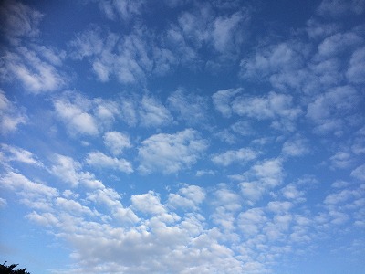 コサイン 星幸一の「つながる、仕合せ」