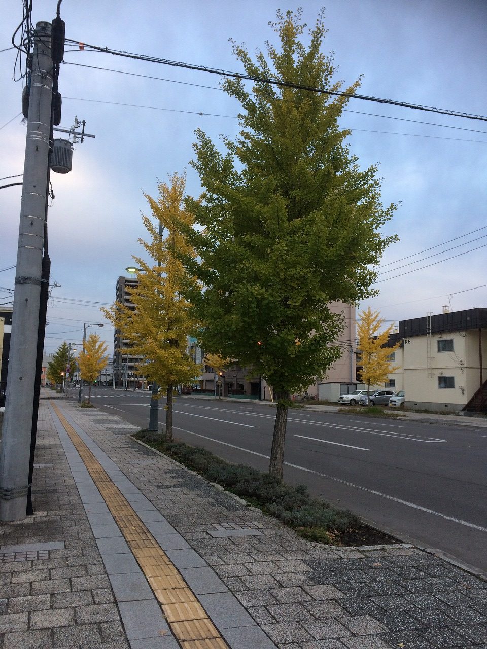 コサイン 星幸一に「つながる、仕合せ」