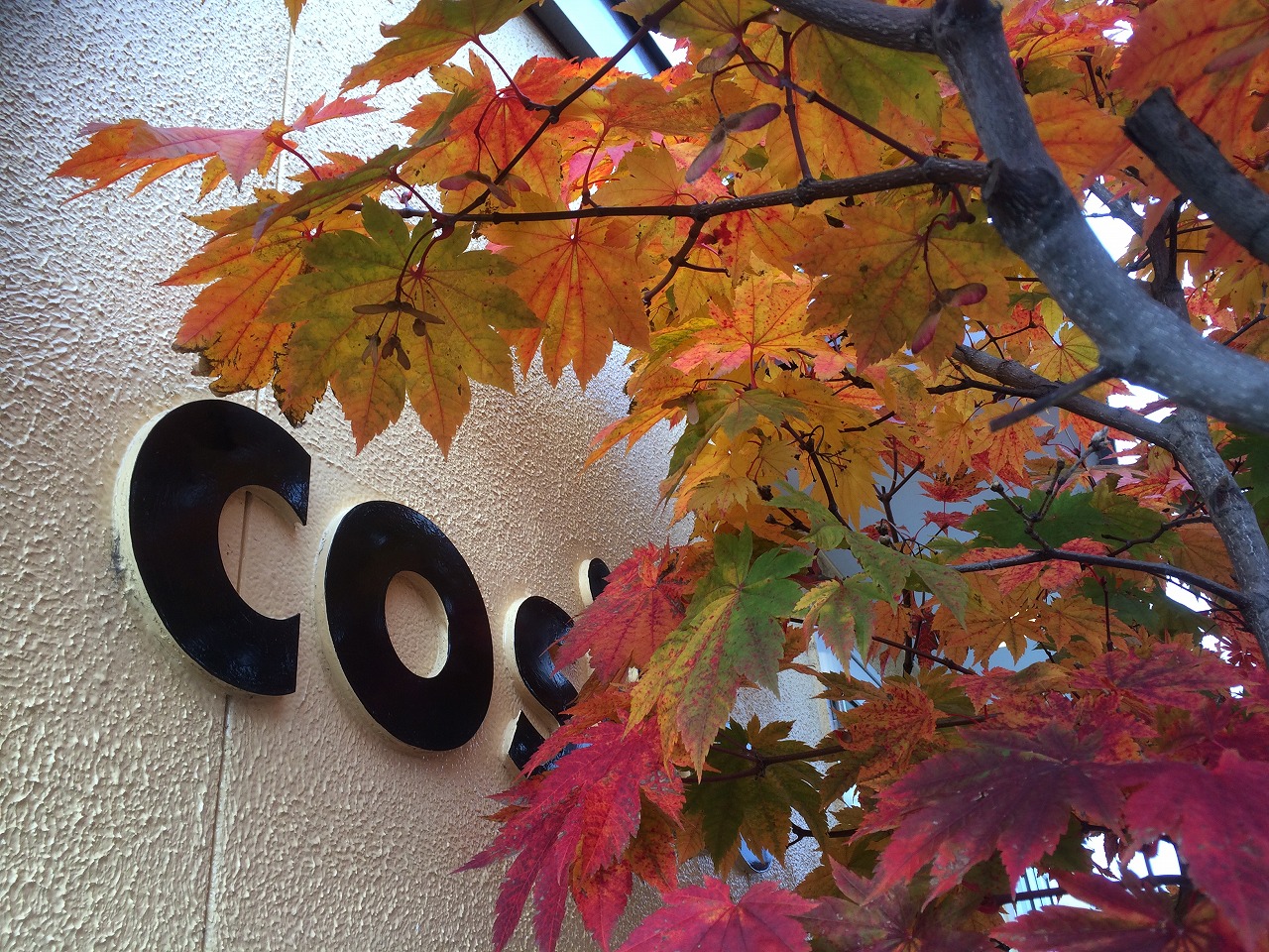 コサイン 星幸一の「つながる、仕合せ」