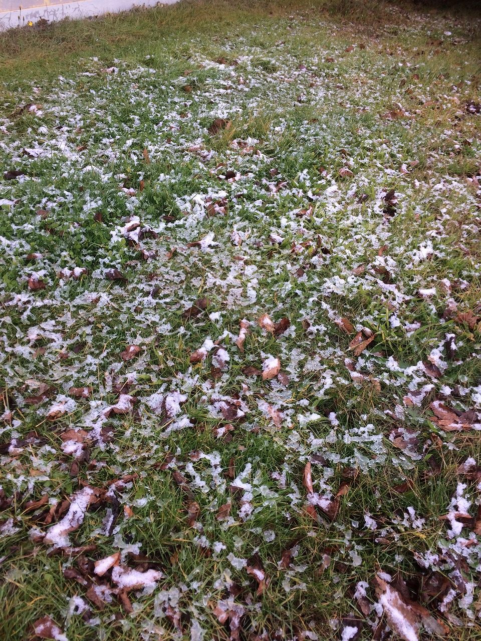 コサイン 星幸一の「つながる、仕合せ」