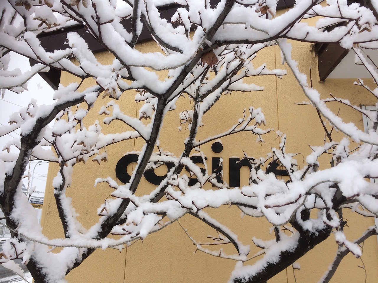 コサイン 星幸一の「つながる、仕合せ」