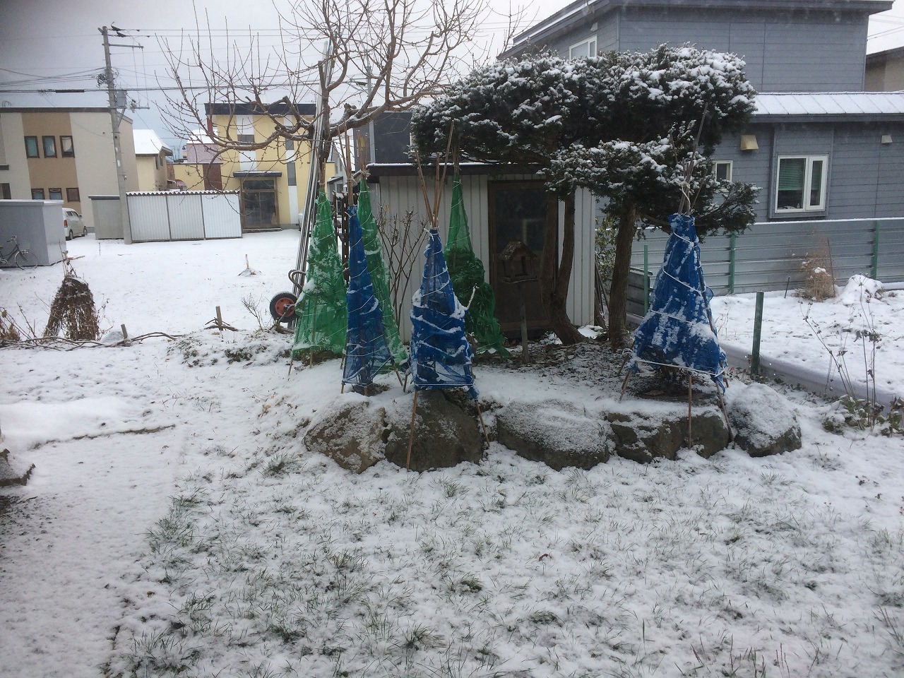 コサイン 星幸一の「つながる、仕合せ」