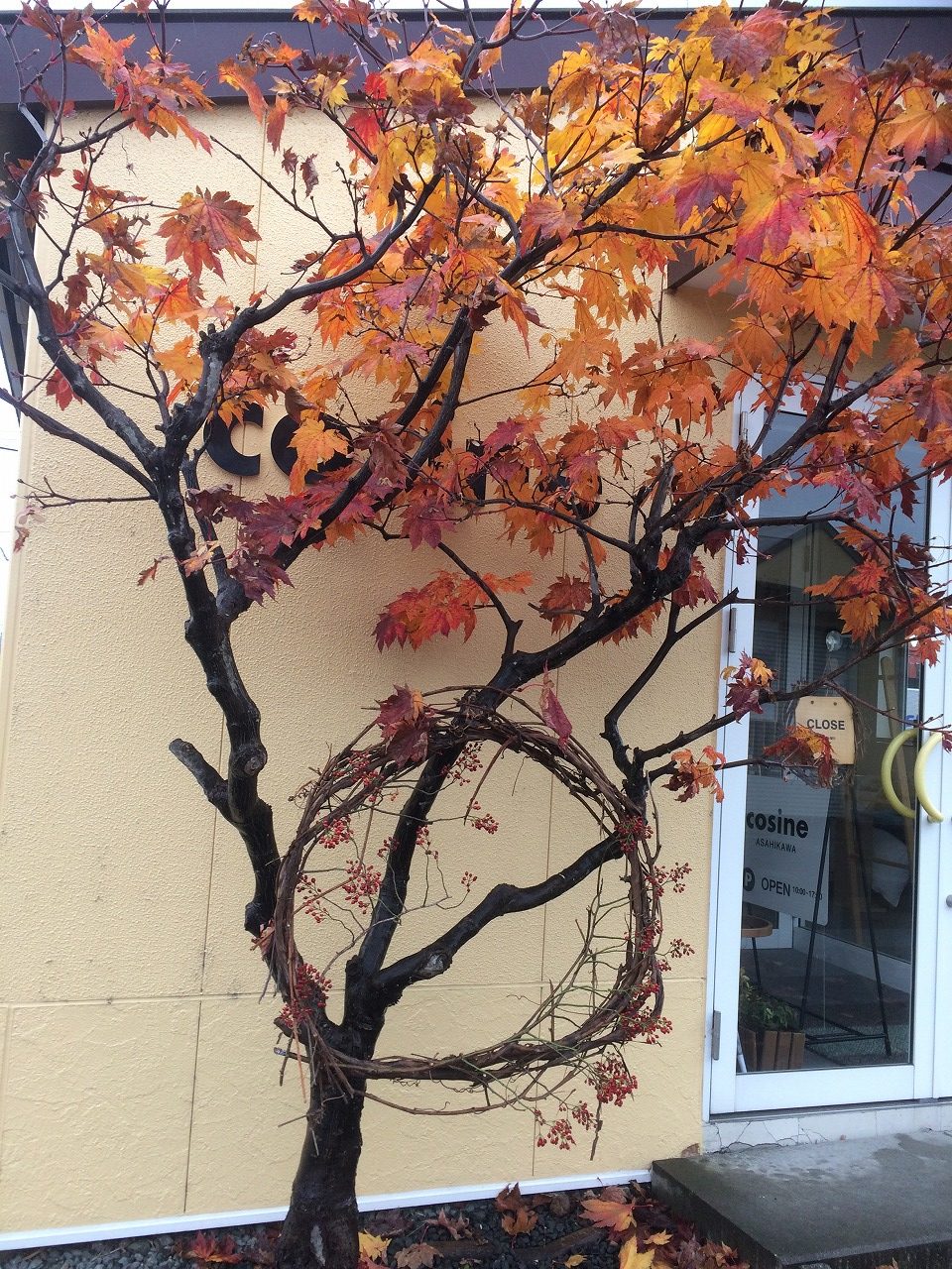 コサイン 星幸一の「つながる、仕合せ」