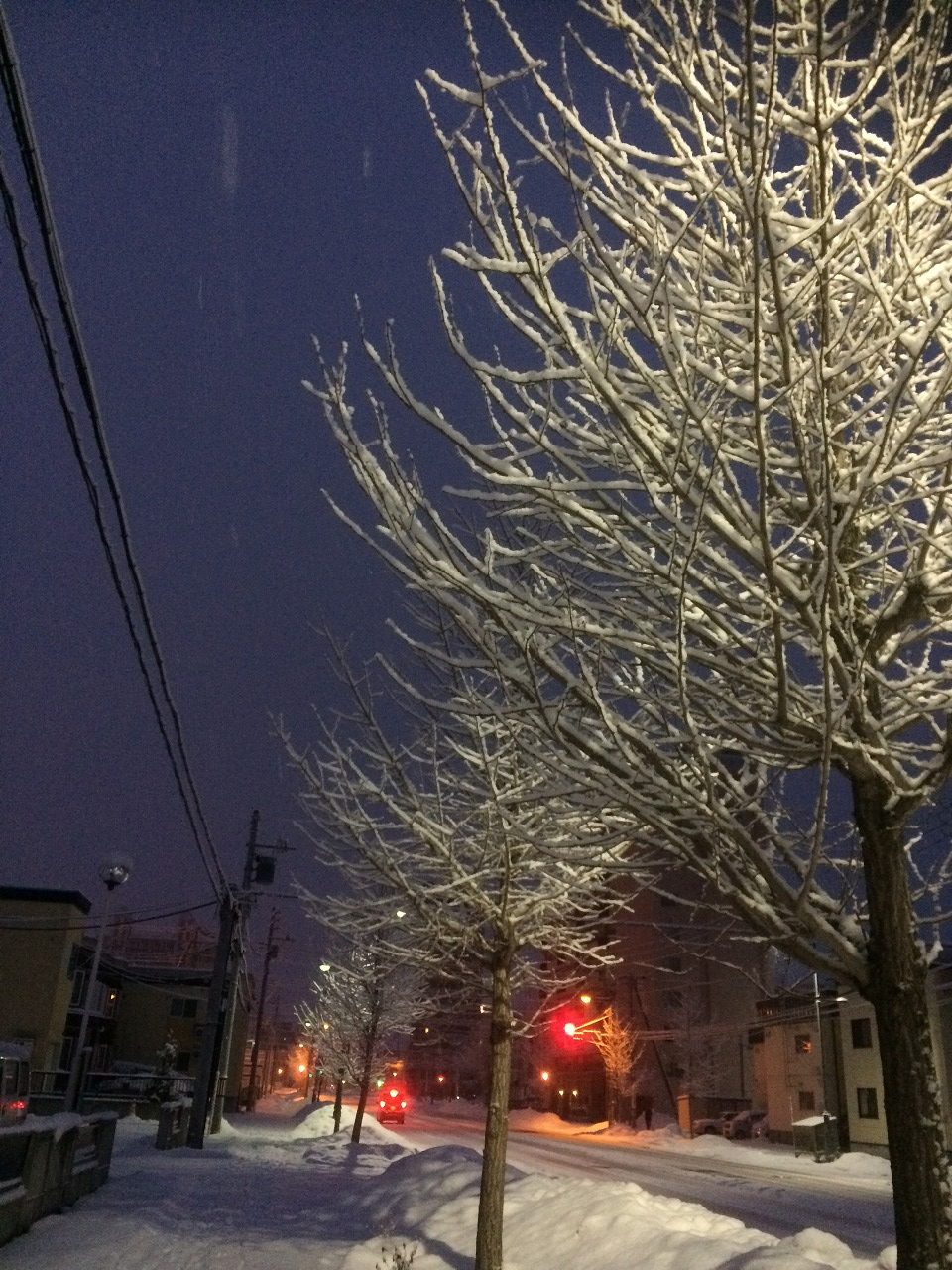 コサイン 星幸一の「つながる、仕合せ」