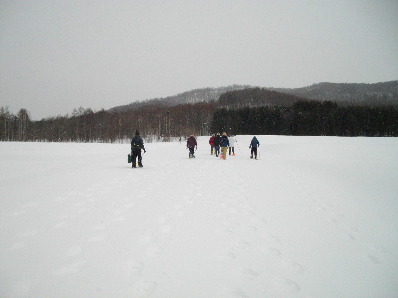 コサイン 星幸一の「つながる、仕合せ」
