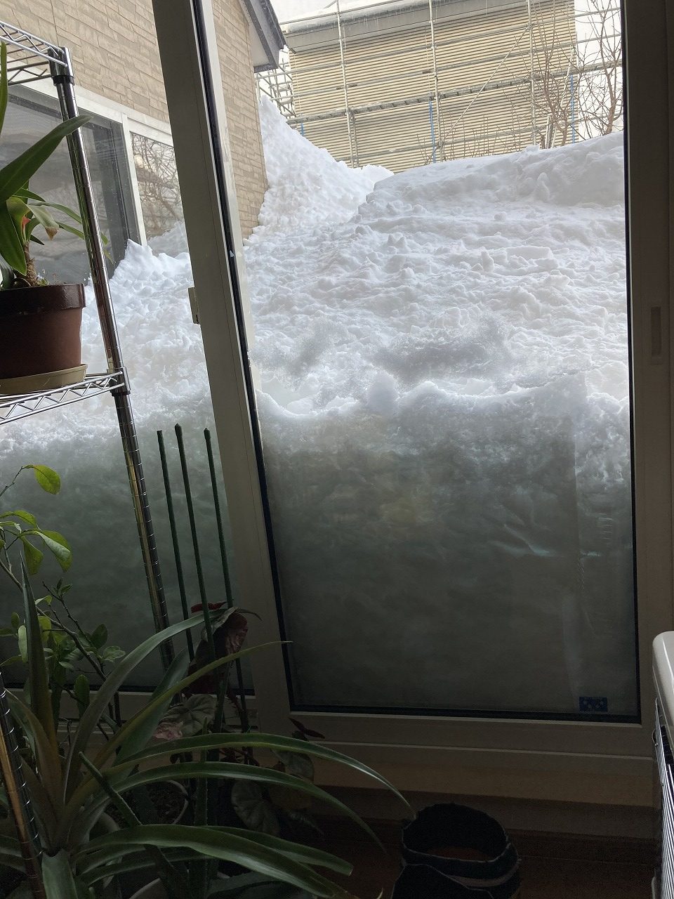 コサイン 星幸一の「つながる、仕合せ」