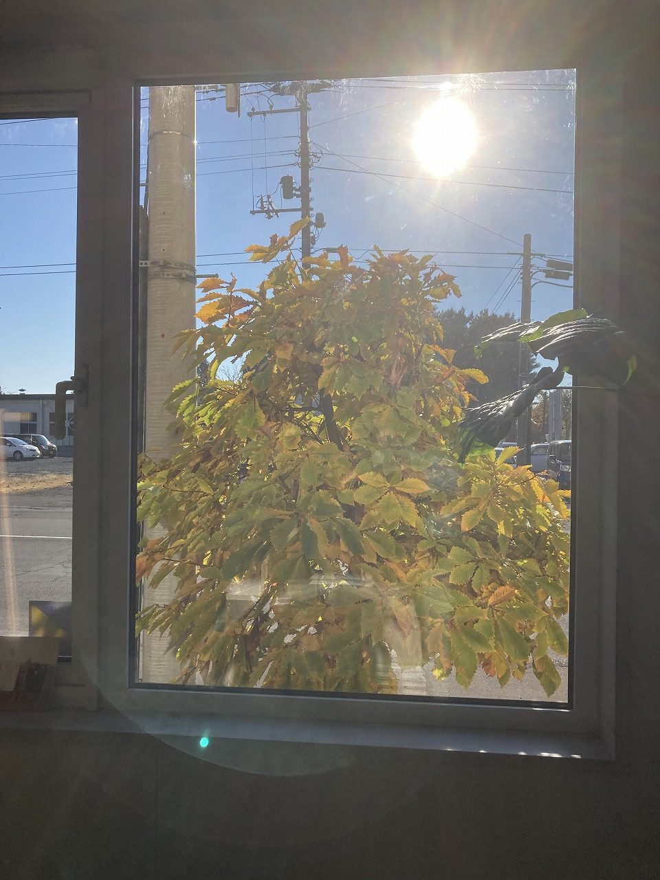 No.3450　2022年10月26日　コサイン 星 幸一の 「つながる、仕合せ」