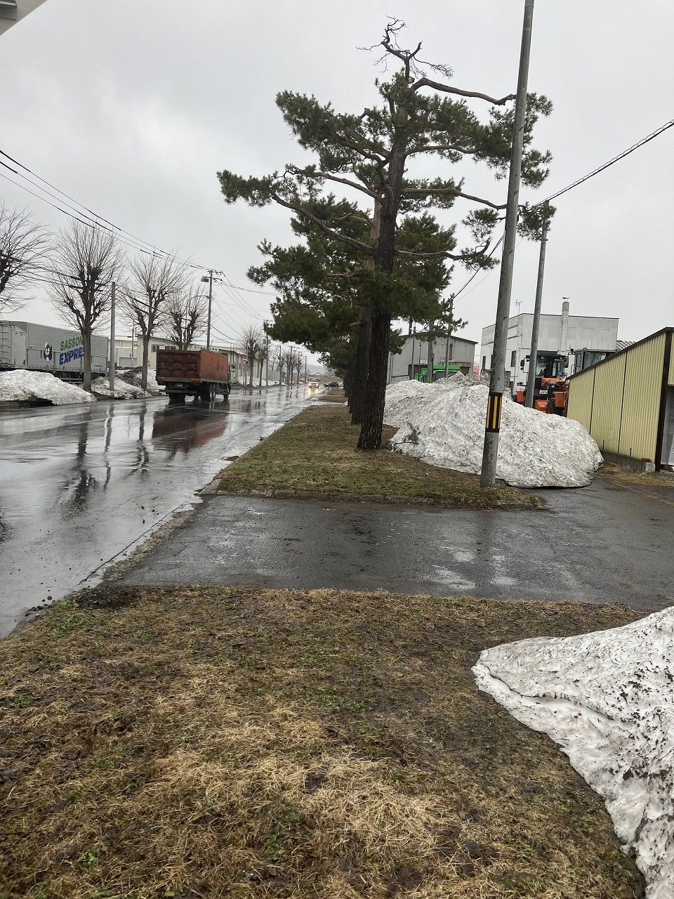 No.3526　2023年3月31日  コサイン 星 幸一の 「つながる、仕合せ」　