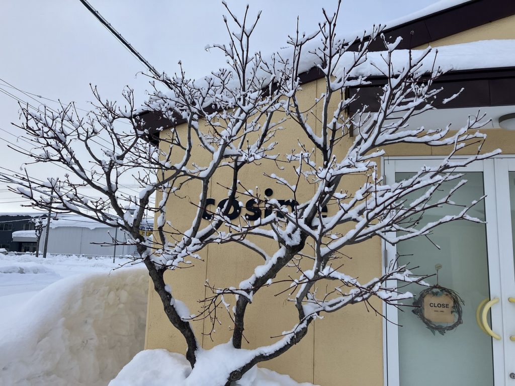 真冬の朝に舞い降りた奇跡：イタヤの枝に咲いた雪の花