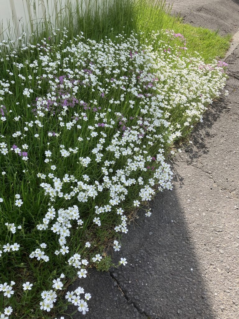 爽やかな一週間のスタート：コサインの朝の環境整備