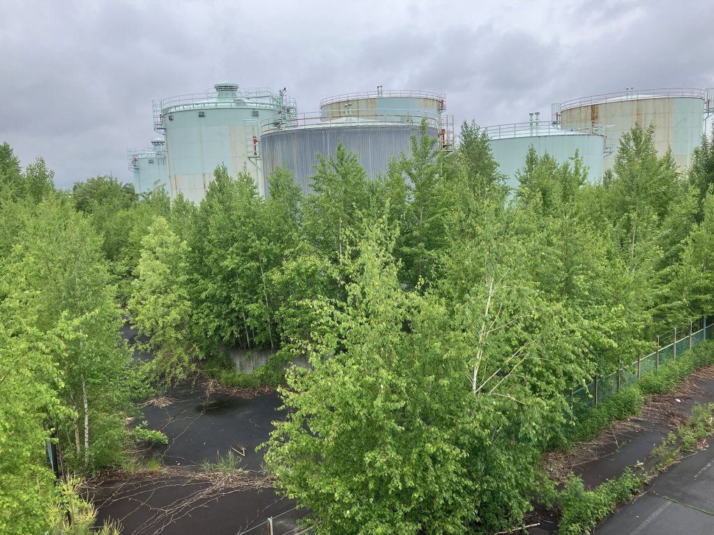 縁起の良い朝、自然の息吹とハロ現象の不思議