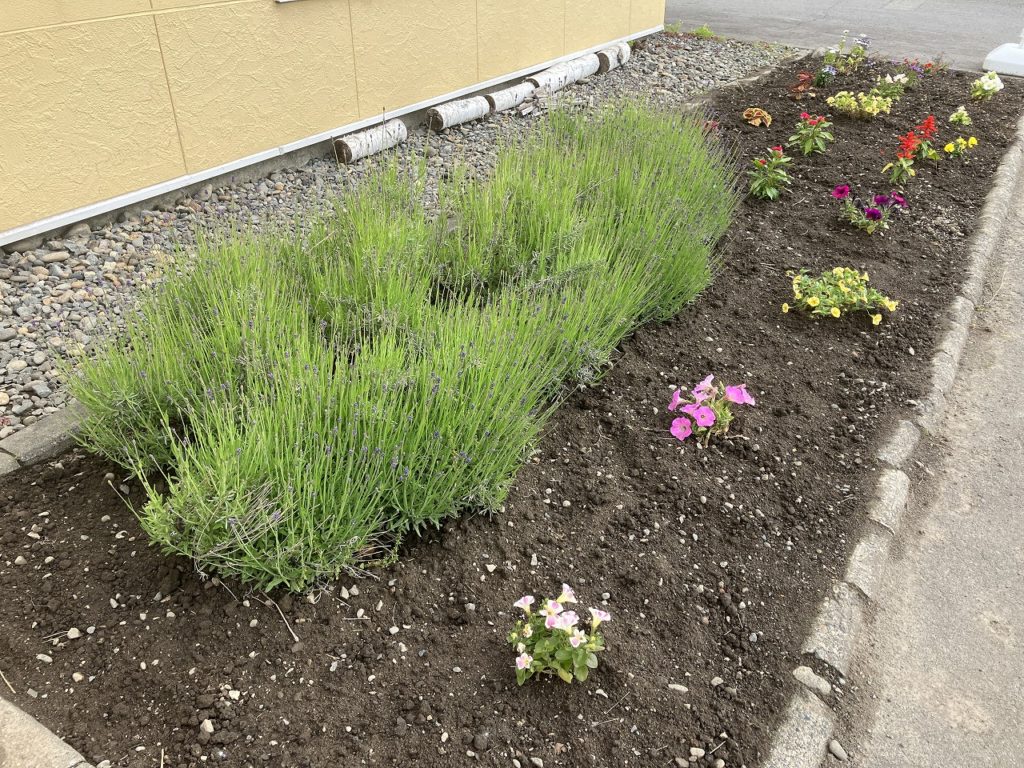 「北海道の魅力を体感！旭泡デザインセンター、コサイン旭川本店での体験へご案内」