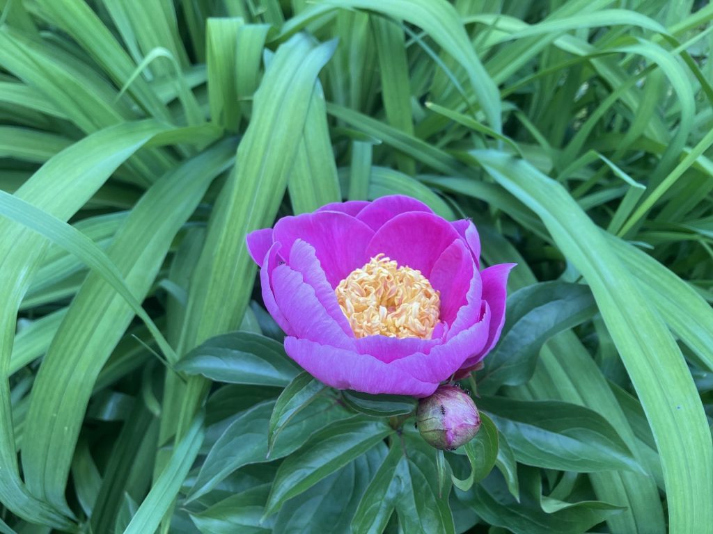 涼しさを感じる今週末の朝を迎えました