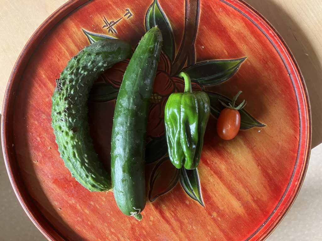 初夏の喜び：我が家の初収穫とオオウバユリの花