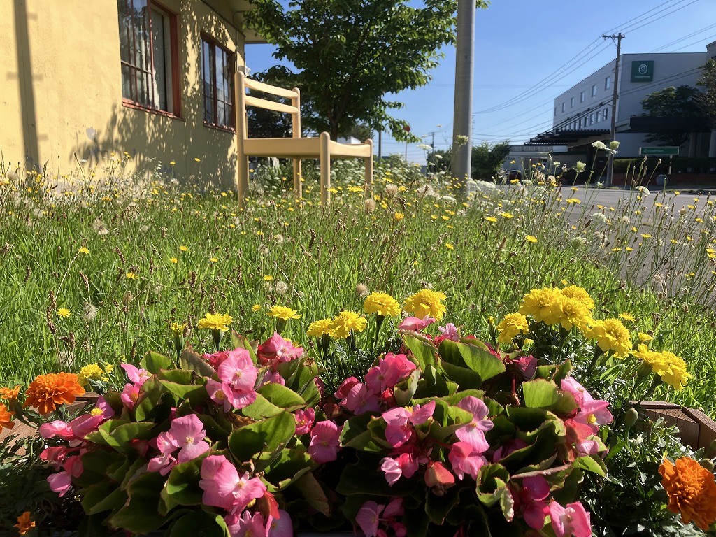 「立秋を迎えて：秋の始まりを楽しむ方法」