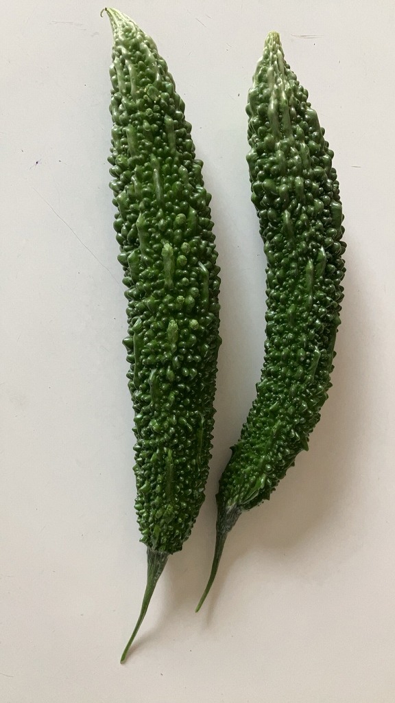 「南正剛さんの器が皇室へ献上—北海道の魅力とともに」