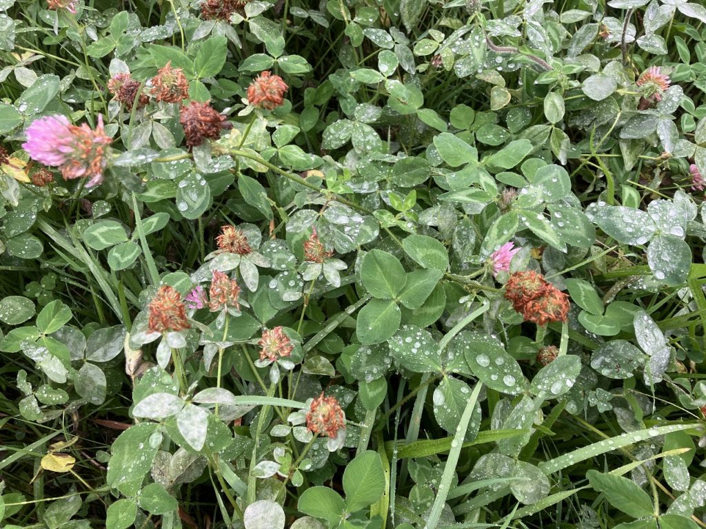 「雨の朝、べちゃべちゃ出社！コサイン旭川本店で工房見学を楽しもう」