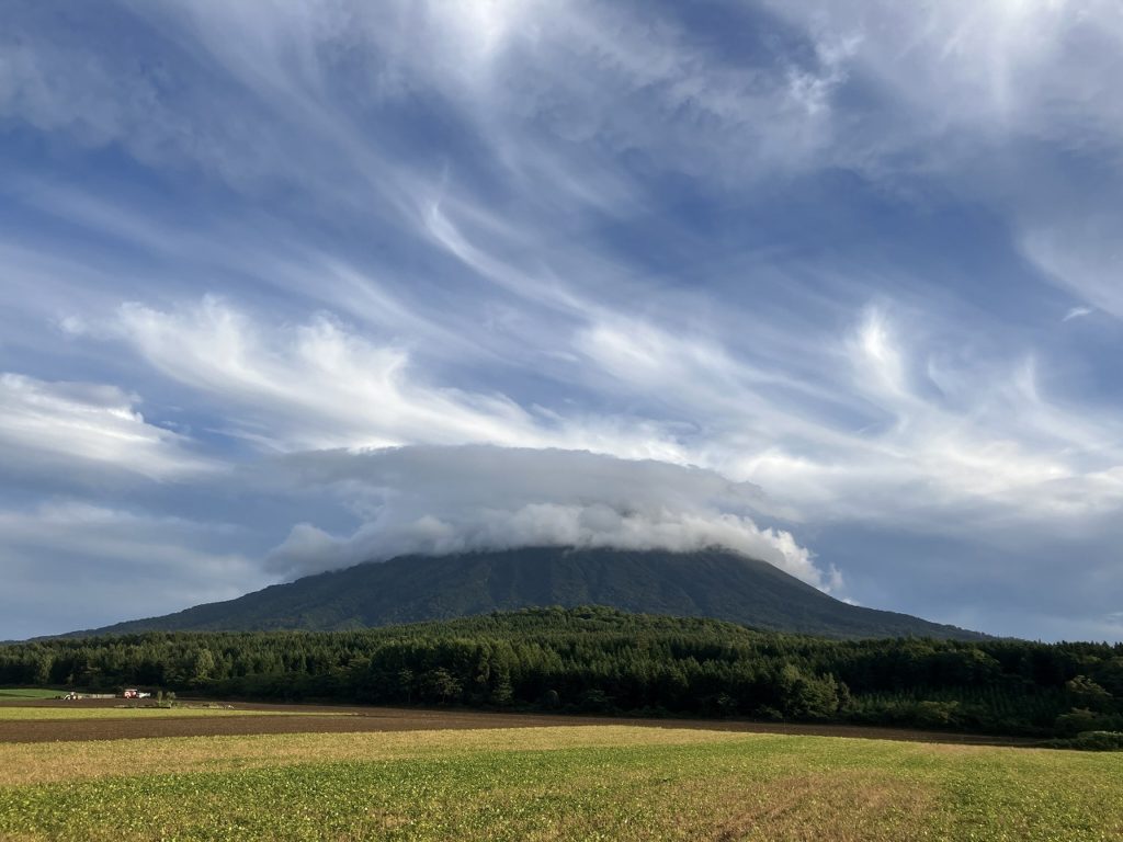 「数年ぶりの家族旅行：ニセコでの癒しと発見」