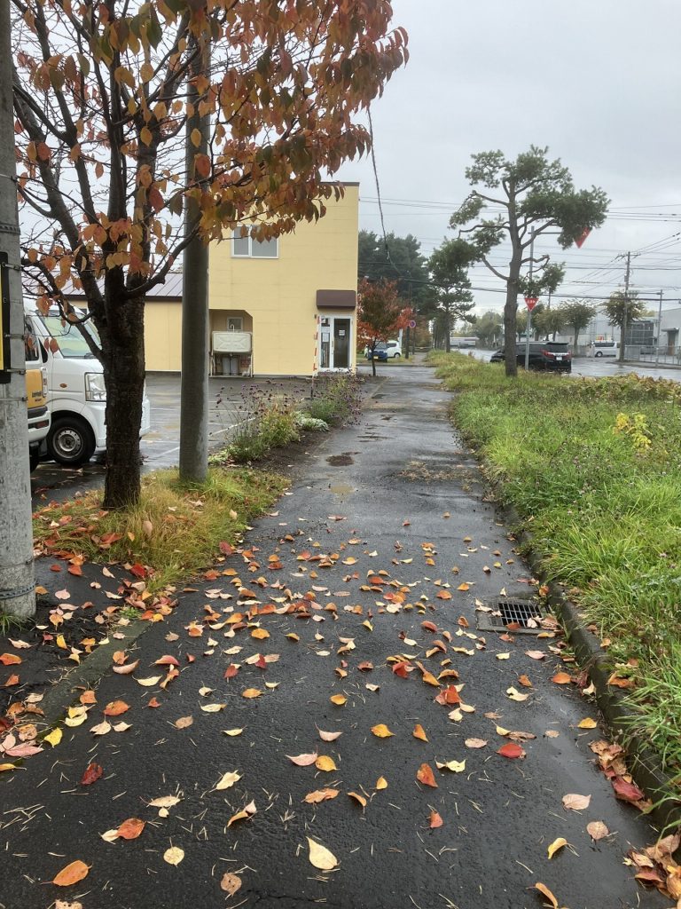 「秋雨と紅葉：コサイン旭川本店の季節の風景」