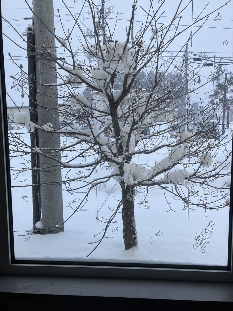 「匠の技を支える美しい収納——シザーウッドトレーの魅力」