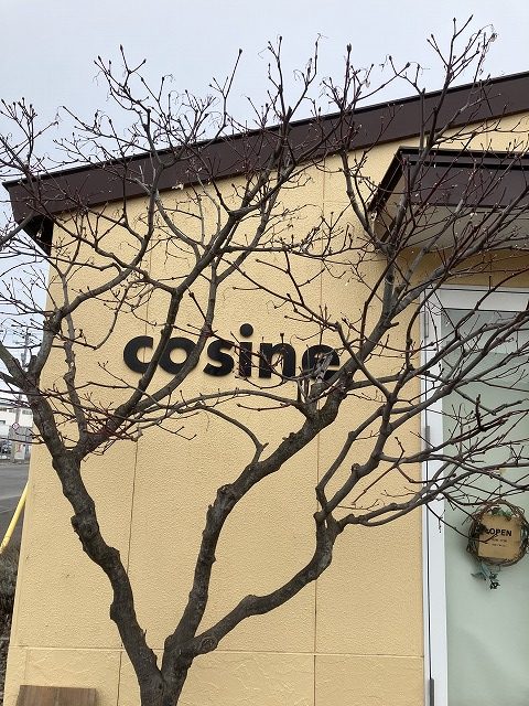 🌿 春の足音と渡り鳥たち 🦢