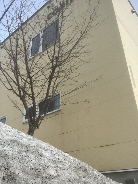 春の訪れを感じて – お店も春の装いへ 🌸