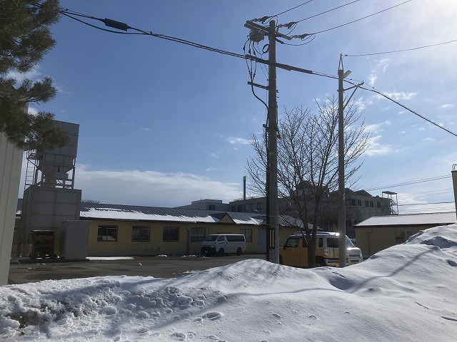 🌸 新年度スタート!エイプリルフールの活かし方 🤭