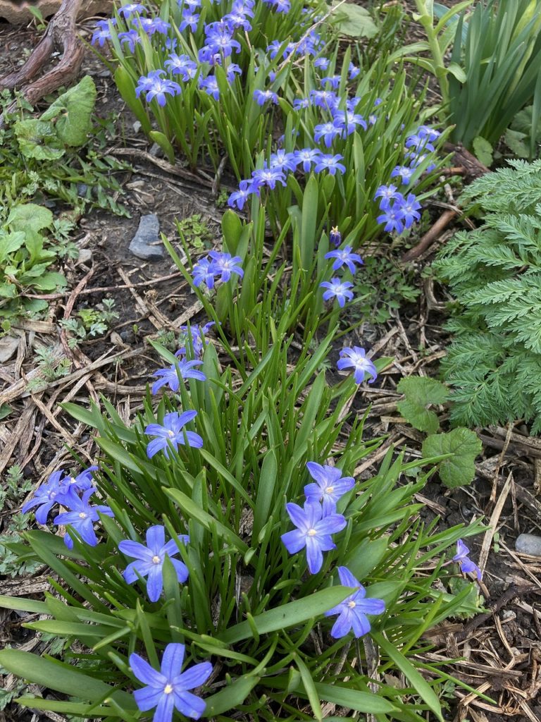 【寒暖差にご用心。季節の変わり目、自然と向き合う時間】