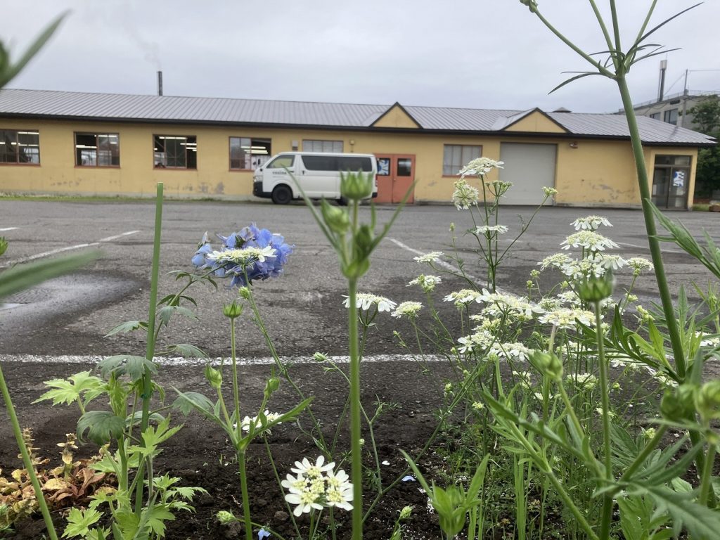🍇恵みの曇り空と、今年のぶどうに期待✨