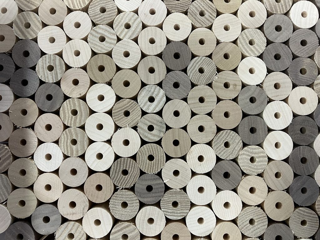 🌞晴れ間に感じる、木の個性とぬくもり🌳