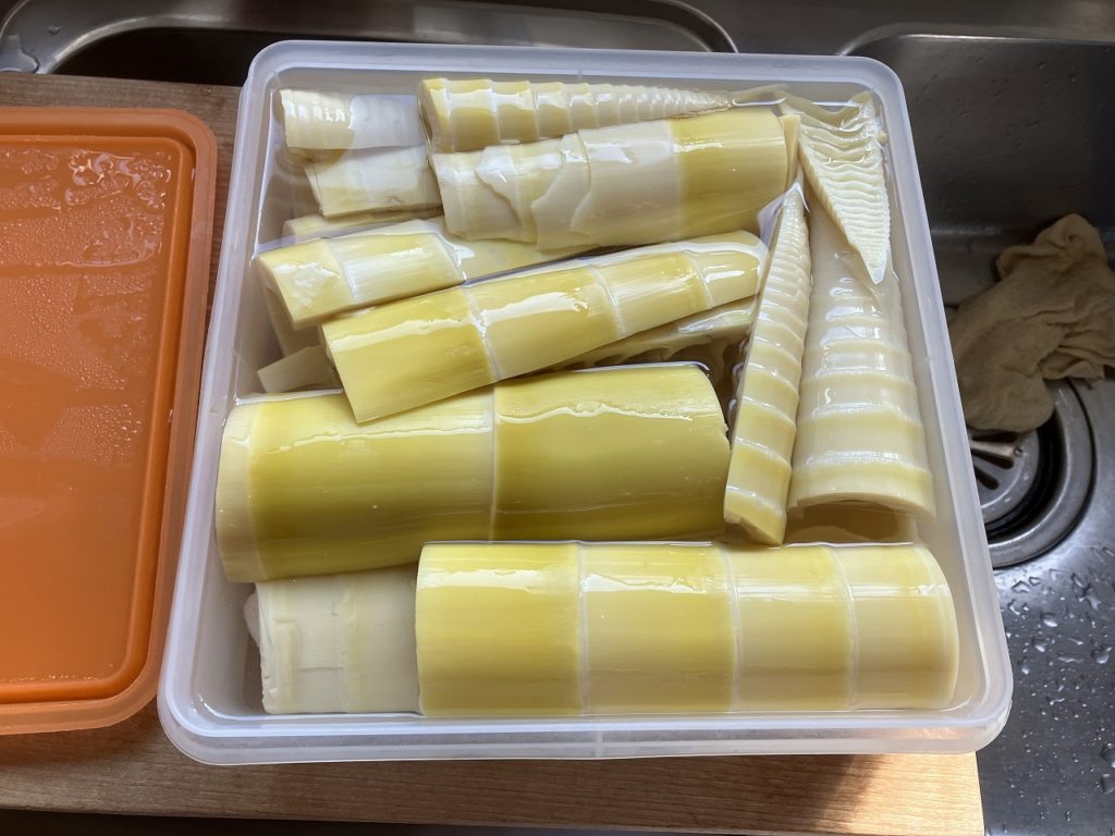 🎋季節の恵みに感謝🌿