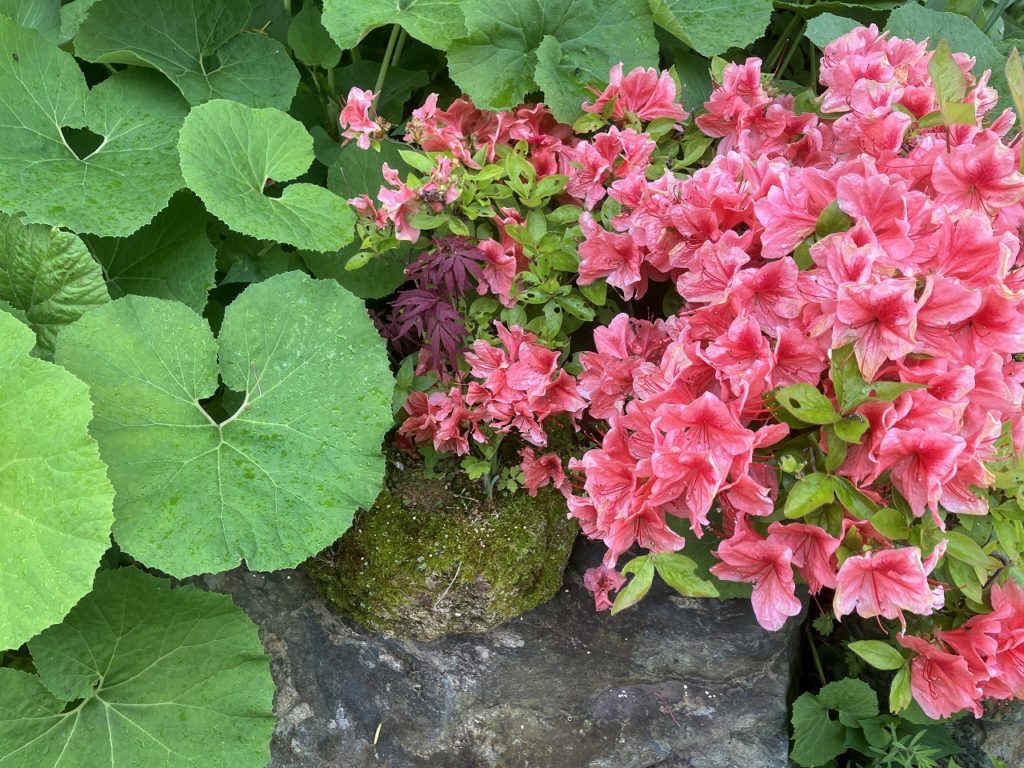 「週末のぬくもりと、マラソンシーズンのはじまり🏃‍♂️🌿」